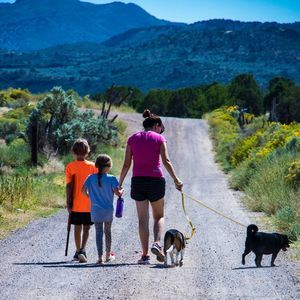 Meet your Posher, Brook